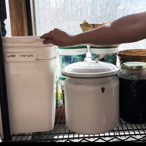 Backyard Apothecary Online Course - Image 13