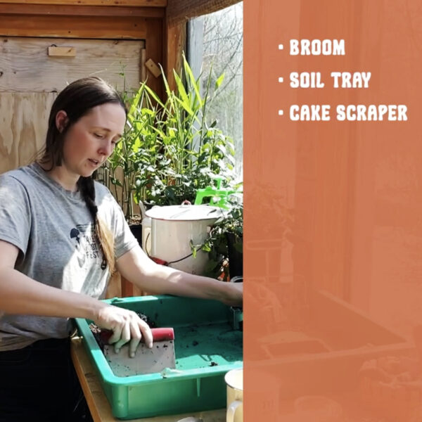 Backyard Apothecary Online Course - Image 12